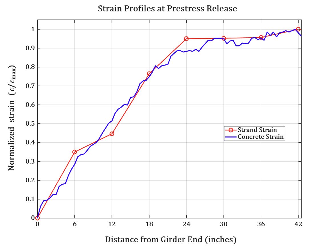 Strain Profile at Release